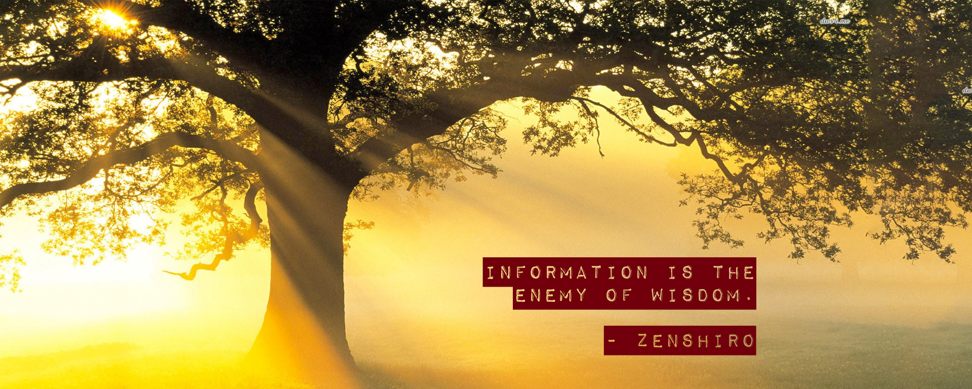 information is the enemy of wisdom